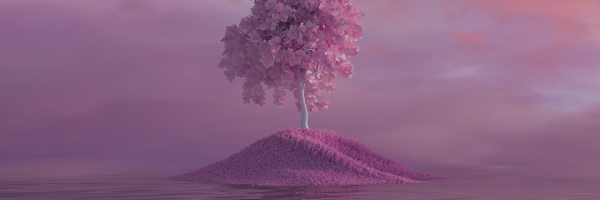 3D for metaverse