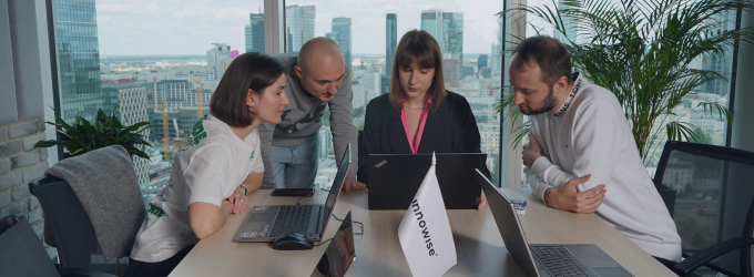 BI consulting