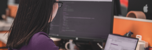 software integration